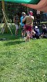 2013-07-13 15.55.54